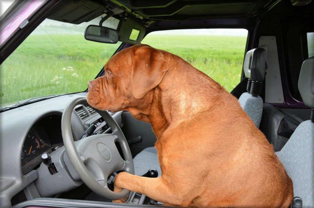 negotiating car price